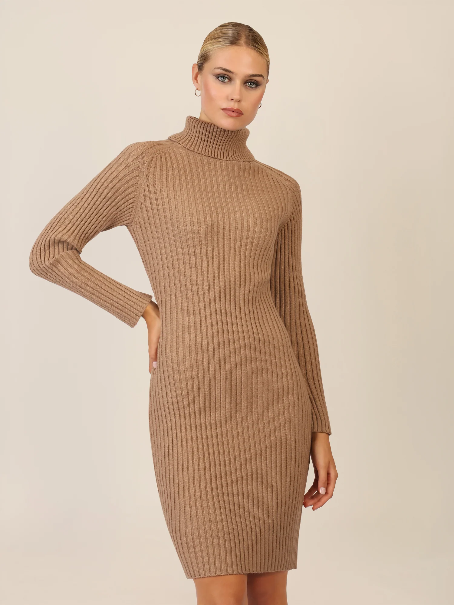 APART Rippenstrickkleid mit Rollkragen | camel - Image 4