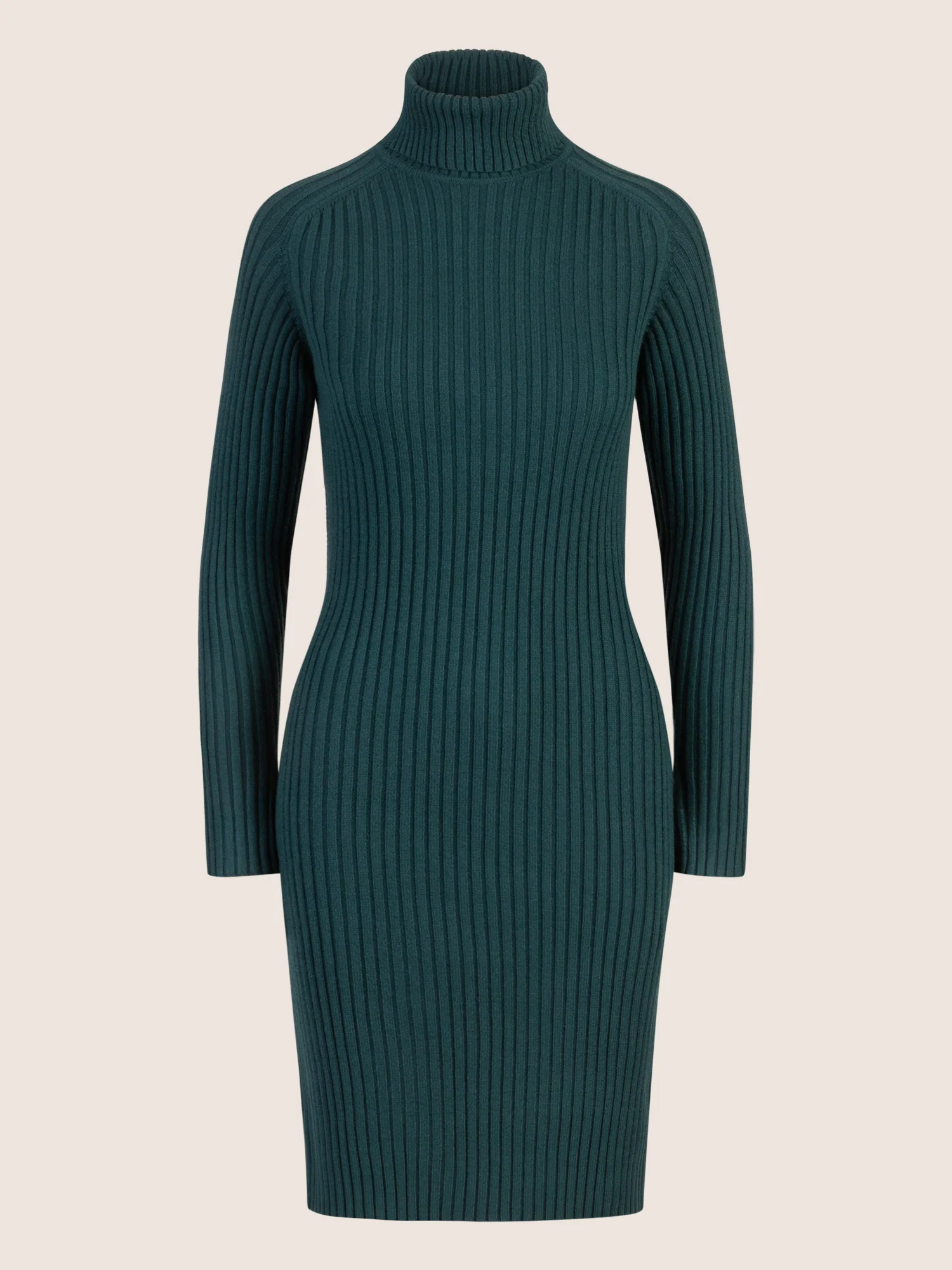 APART Rippenstrickkleid mit Rollkragen | dunkelgrün - Image 3