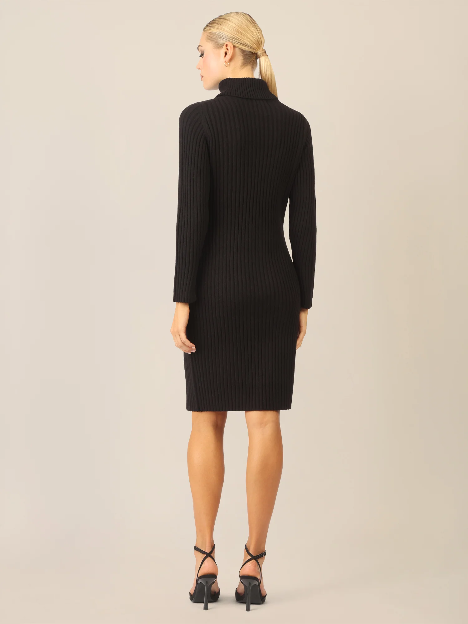 APART Rippenstrickkleid mit Rollkragen | schwarz - Image 2