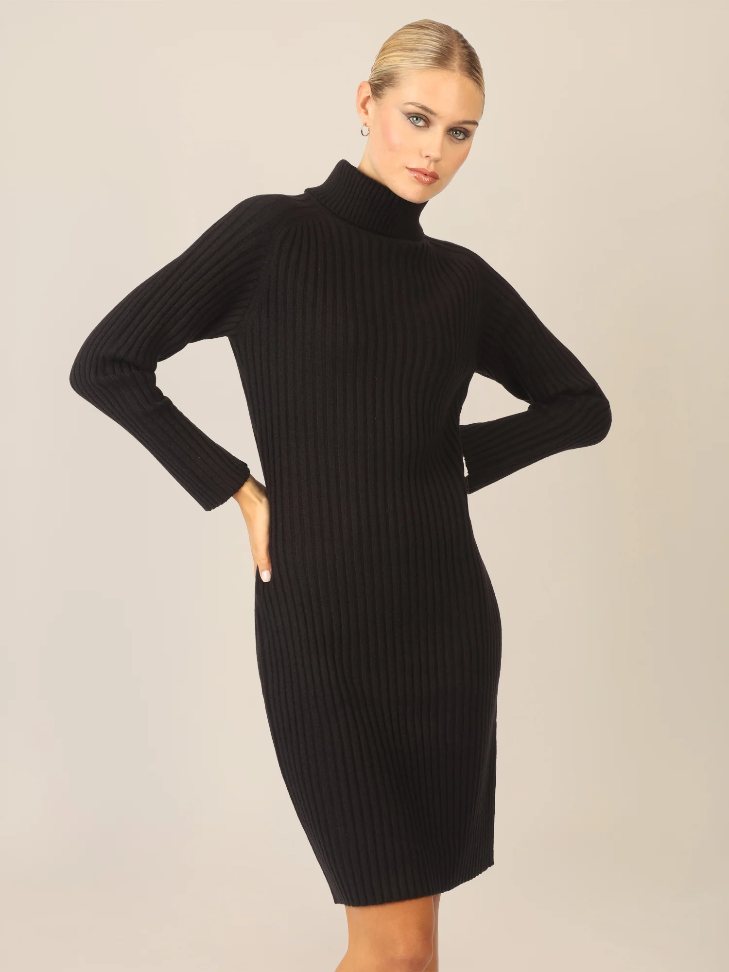 APART Rippenstrickkleid mit Rollkragen | schwarz - Image 4