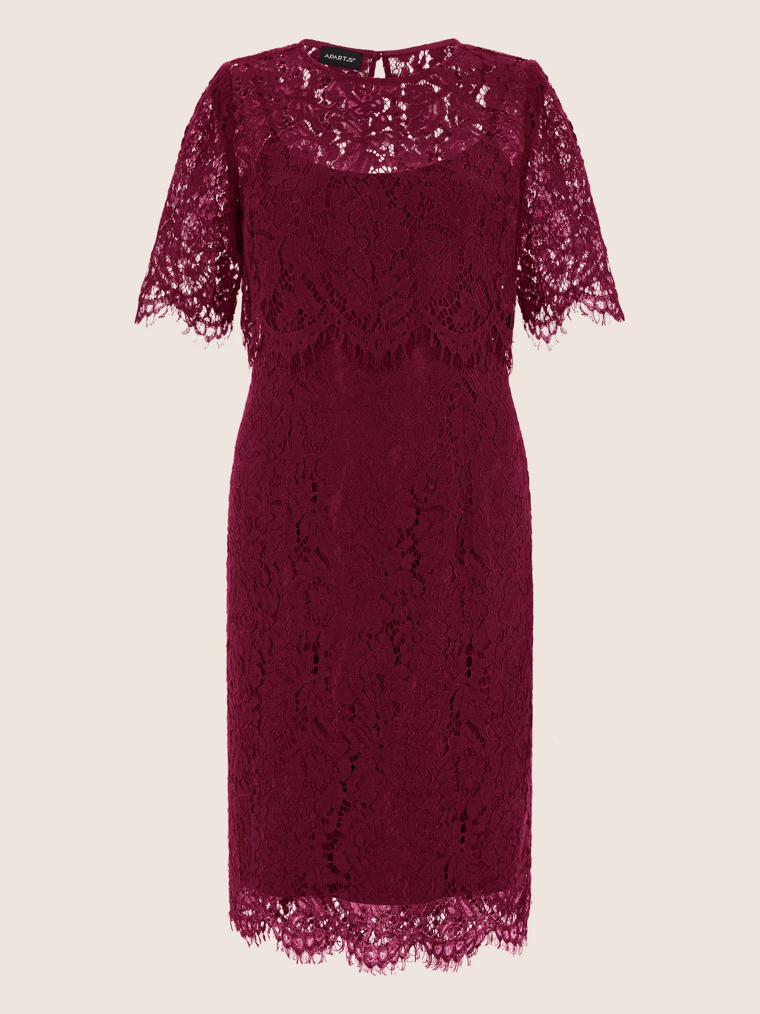 APART Schmal geschnittenes Kleid mit Taillennaht | weinrot - Image 3