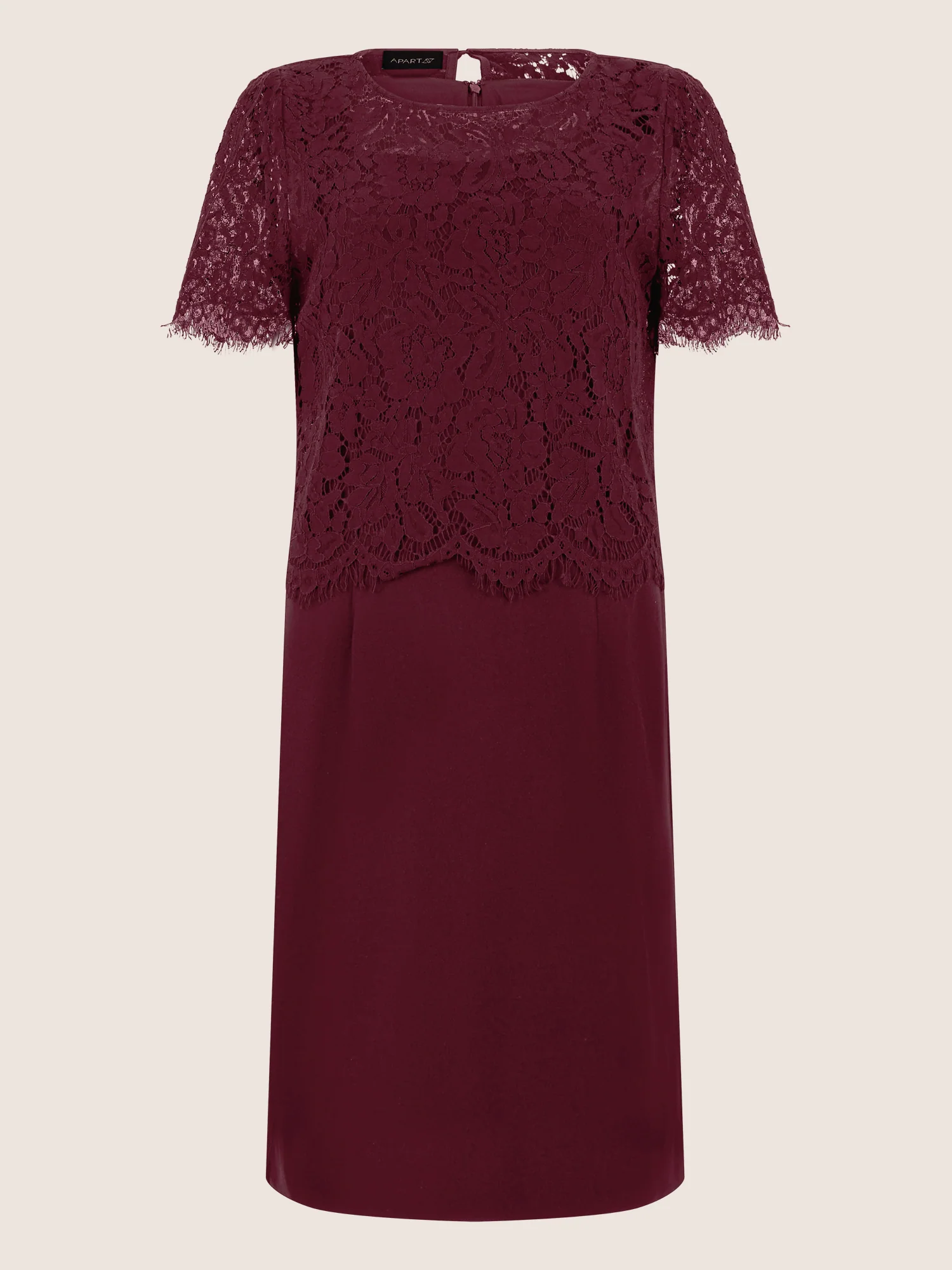 APART Spitzenkleid mit eleganter Doppellage | weinrot - Image 3